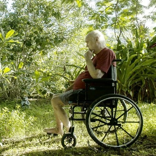 picture of older man wearing purple tee shirt and shorts sitting in a wheelchair in a garden.